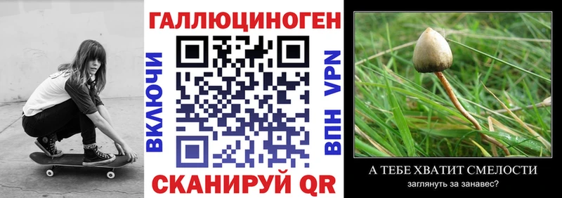 Псилоцибиновые грибы Psilocybine cubensis  Дудинка 